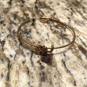 Alex and Ani S Charm